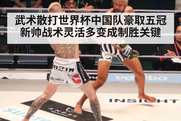 武术散打世界杯中国队豪取五冠 新帅战术灵活多变成制胜关键